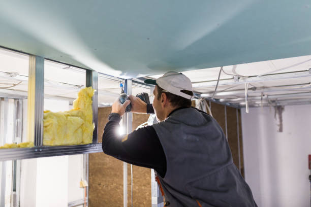 Best Insulation Installation Services in Bloomington, IL
